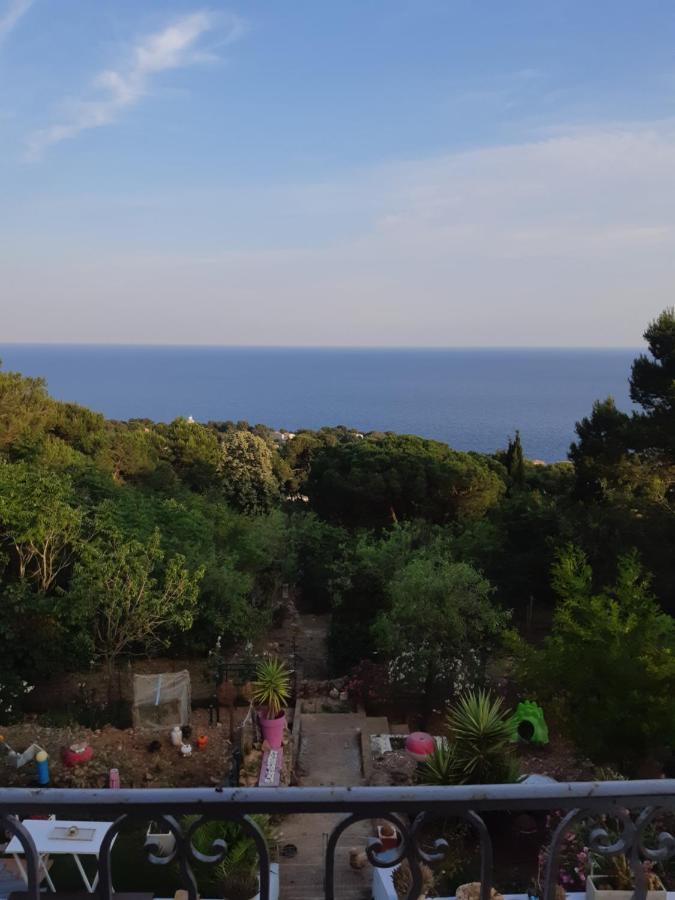 Haut De Villa Au Mont St Clair Vue Exceptionnelle Mer Et Foret Terrasses, Piscine, Petanque, Solarium Prives Sète Exterior foto