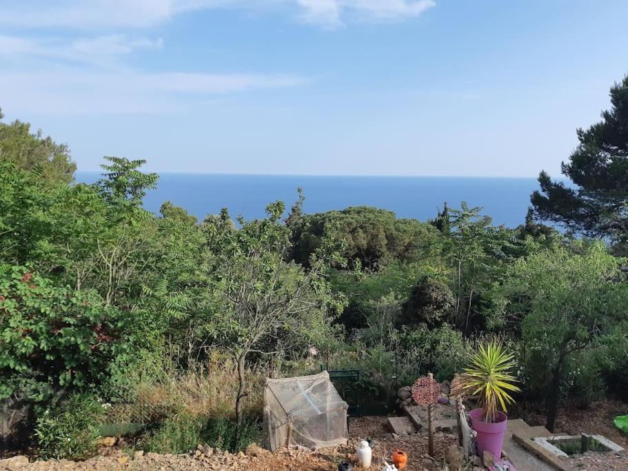 Haut De Villa Au Mont St Clair Vue Exceptionnelle Mer Et Foret Terrasses, Piscine, Petanque, Solarium Prives Sète Exterior foto